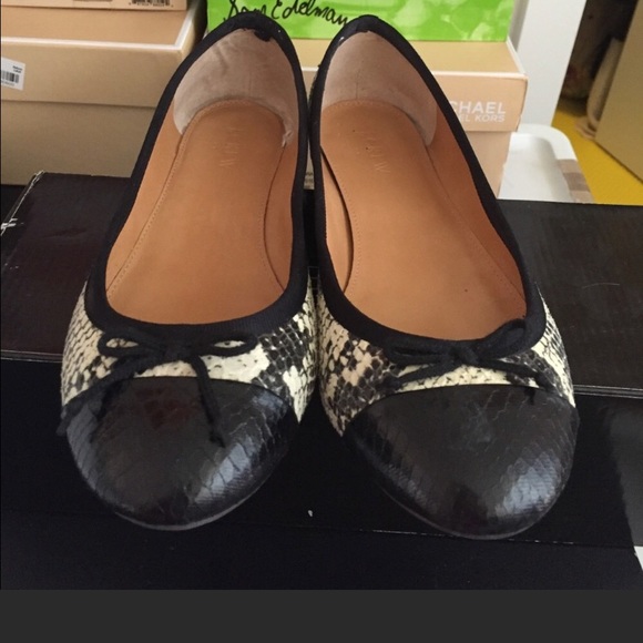 J.Crew animal print falts 6 - Picture 2 of 5